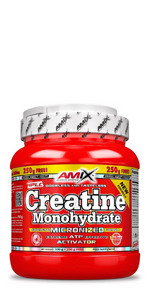 CREATINA MICRONIZADA AMIX 2023